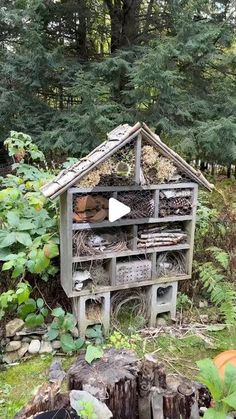 an old wooden bird house sitting in the middle of a forest