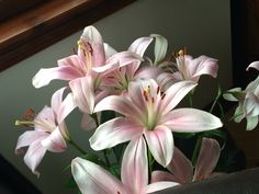 some pink flowers are in a vase on a table