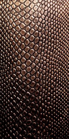 close up view of the skin of an animal's skin, with small circles on it