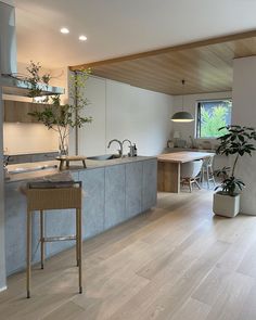 the kitchen is clean and ready to be used for cooking or dining room furniture, as well as potted plants