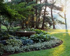 the sun shines through the trees and grass in this garden with lush green foliage