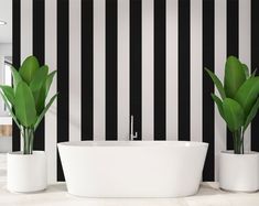 two potted plants sit next to a bathtub in front of a black and white striped wall