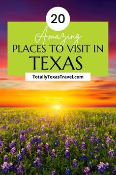 purple flowers with the sun setting in the background and text overlay reading 20 amazing places to visit in texas