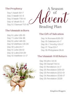 New to Bible study? Start the Advent season with this simple, beginner-friendly Bible reading plan! Explore God’s promises from prophecy to the birth of Jesus in just a few minutes each day. Bible Reading For December, Bible Reading Plan For December, Kids Christmas Bible Reading Plan, 25 Days Of Christmas Bible Reading, Advent Readings For Adults, Beginner Bible Reading Plan, Where Should I Start Reading The Bible, December Bible Reading Plan, Order To Read The Bible