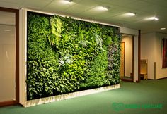 a green wall in an office building with plants growing on the walls and below it