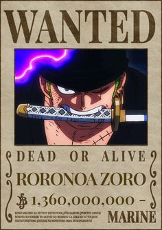 the wanted poster for one piece