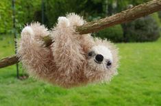 a stuffed slotty hanging from a tree branch with grass in the back ground and trees in the background