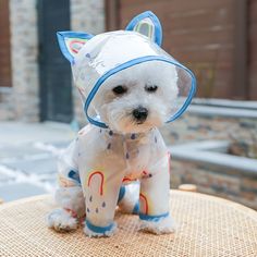 a small white dog wearing a raincoat on top of a wooden table next to a brick building