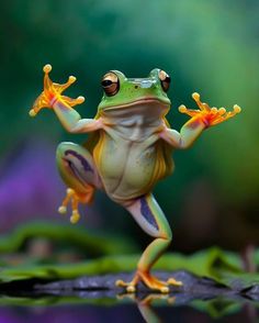 a frog that is standing on its hind legs