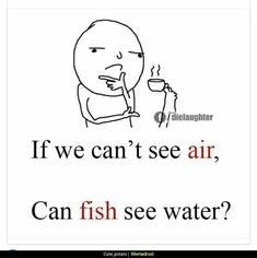 a drawing of a person holding a cup with the caption if we can't see air, can fish see water?