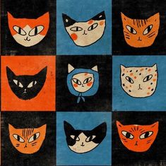 a group of cats with different colored faces on black and orange squares in the background