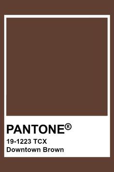 pantone's brown color is shown with the name, downtown brown on it