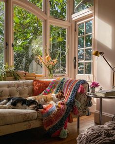 a dog laying on top of a couch next to a window with lots of windows