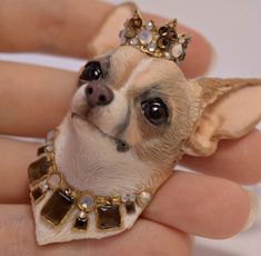 a small chihuahua wearing a tiara on its head in someone's hand,