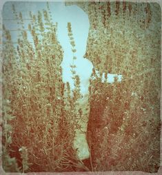 an old photo of a boot in the middle of some tall grass