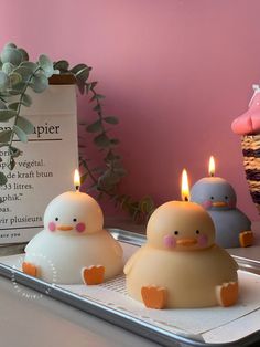 three candles are sitting on a tray with two rubber ducks in front of them, one is yellow and the other is white