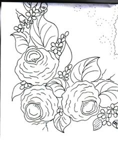 an ink drawing of flowers and leaves on a white paper with black border around the edges