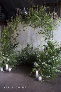 Delicate green branch circular installation created during a group class at the studio | Aesme Studio | London Foliage Arch, Floral Design Classes, British Flowers, Eco Wedding, Flower School, Flower Installation, Wedding Ceremony Backdrop, Venue Decorations, Wedding Reception Inspiration