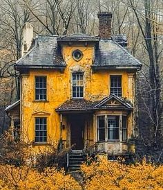 an old abandoned yellow house in the woods