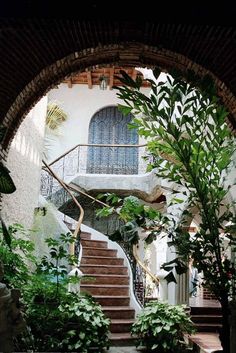 an arched doorway with stairs leading up to the second floor and plants growing on either side