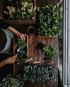 a person cutting up plants on top of a wooden table