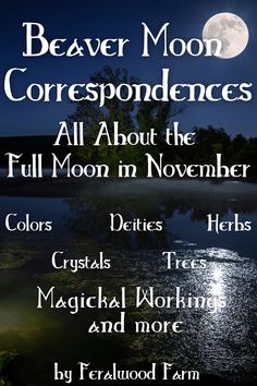 a poster with the words beaver moon correspondences all about the full moon in november