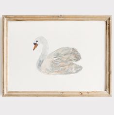 a watercolor painting of a white swan