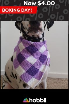 a dalmatian dog wearing a purple and white argyle knitted sweater sitting on the floor