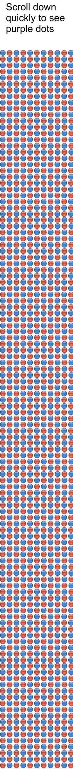 Magic meme Eye Tricks, Cool Illusions, Desain Buklet, Funny Mind Tricks, Cool Optical Illusions, Seni Dan Kraf, Mind Tricks, 웃긴 사진, Brain Teasers