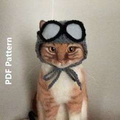 a cat wearing a knitted hat and goggles