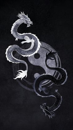 two white and black dragon on a black background