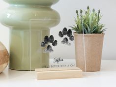 a cat paw print is placed in a clear acrylic box next to a potted plant