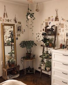 a room with plants and mirrors on the wall