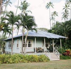 a small blue house surrounded by palm trees