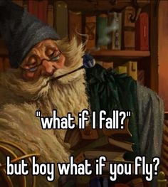 an image of a wizard with the caption what if i fall? but by what if you fly?