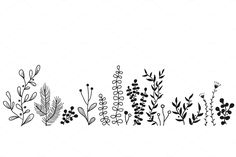 black and white drawing of plants on a white background