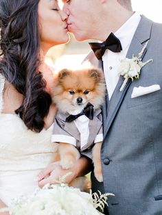 a bride and groom kissing their dog wearing a tuxedo shirt with a bow tie