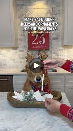 a dog is sitting in a bowl on the kitchen counter while someone lights candles for him