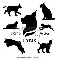 the silhouettes of dogs and cats in different poses on white background, eps10