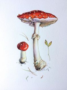 a watercolor painting of two mushrooms on white paper