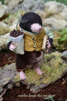 a stuffed animal rat holding a potted plant in it's paws and wearing a coat