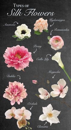 flowers that are labeled in different languages on a chalkboard with the words types of silk flowers