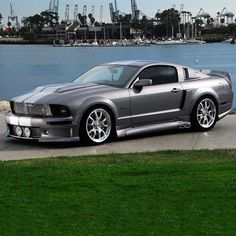 a silver mustang parked next to the water