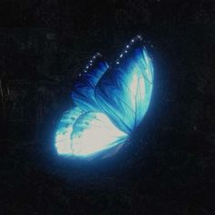 a blue butterfly is glowing in the dark