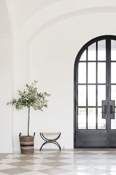 a black and white checkered floor with a potted plant in front of it