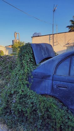 an old car is overgrown with vegetation in front of a building