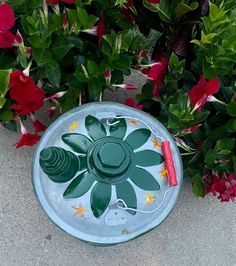 a plastic flower pot sitting on the ground next to some red and green flowers,