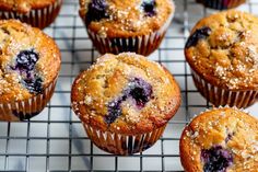 blueberry muffins cooling on a wire rack