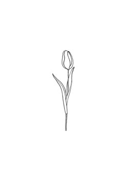 a black and white drawing of a single flower