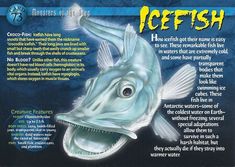 an advertisement for icefish is shown in this advertiser's message board